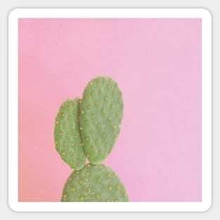 Pink Cactus Sticker